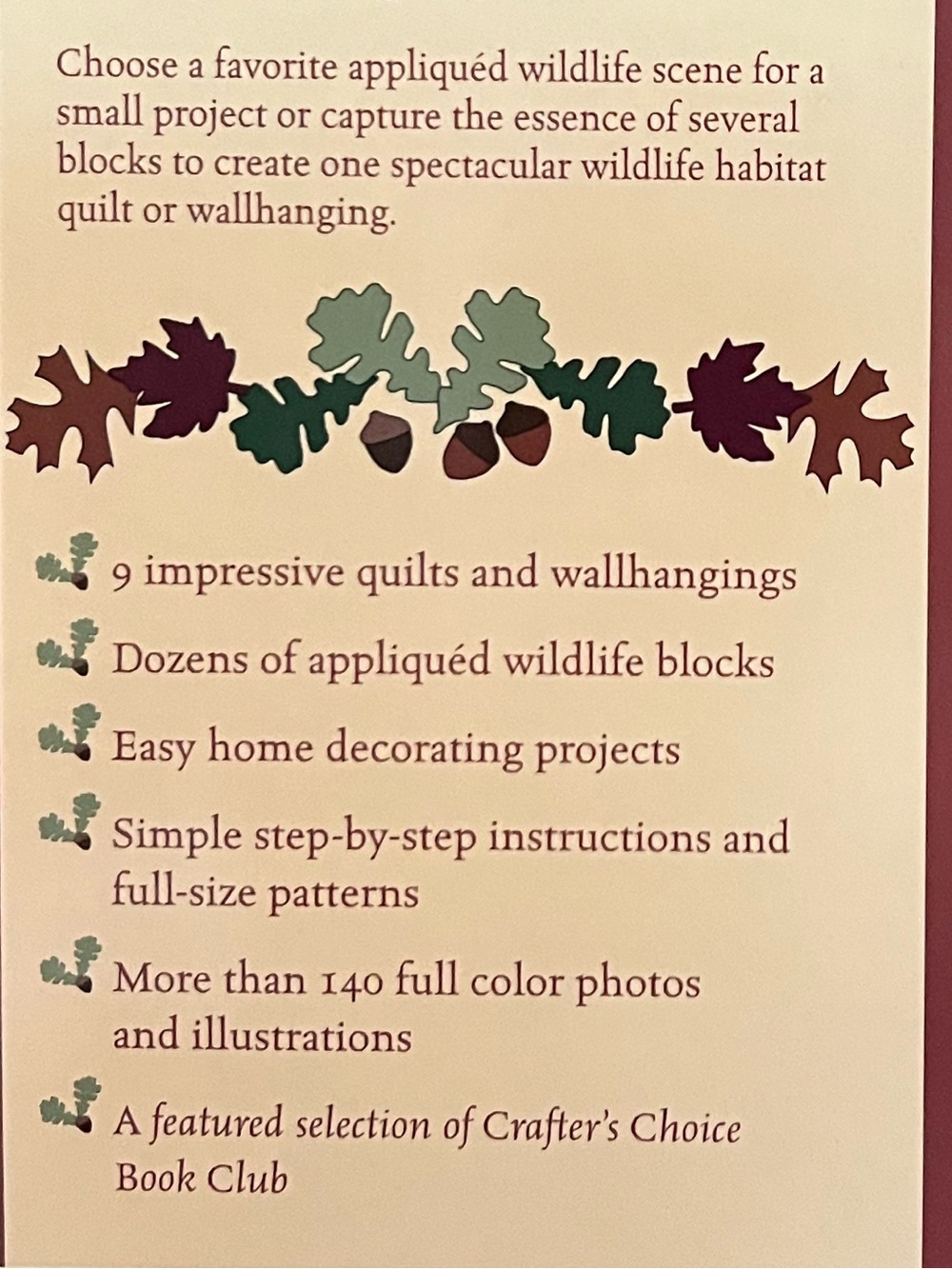 Quilting the Great Outdoors by Debbie Field ~ Nature Quilt Pattern Templates - Picture 3 of 3
